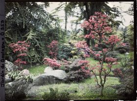 Image représentant Pierres, azalées et érables rougeoyants, situés à l'entrée du " sanctuaire japonais "