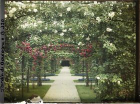 Image représentant Axe central du verger-roseraie vu en direction de la dépendance, à proximité du jardin français
