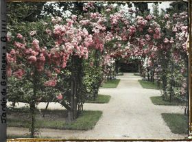 Image représentant Axe central du verger-roseraie vu à mi-parcours, en direction de la dépendance