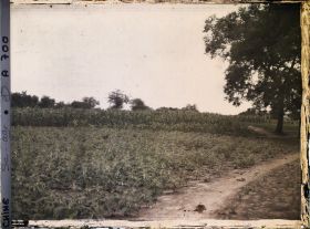 Image représentant Probablement aux environs ouest de Beijing.