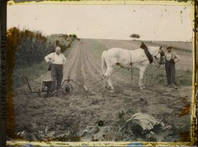 Image représentant Ile de France, Sarcelles-S-Brice, Cultivateurs semant des haricots