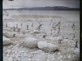 Image représentant Site palafittique préhistorique des Alpes, pieux en bois visibles lors de la baisse des eaux après la grande sécheresse de 1921