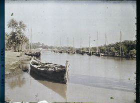 Image représentant Rives du Chatt Al-Hillah, l'une des branches de l'Euphrate