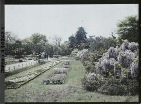 Image représentant Hibiya-koen (parc de Hibiya), pelouse et glycines