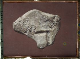 Image représentant France, St Germain-en-Laye, Bison de la Grotte du Tuc d'Audoubert 58030, Donné par le Comte Bégouen