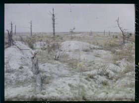 Image représentant France, Tranchée et Arbre mort sur le Mont Casque