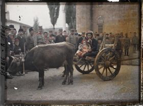 Image représentant Un attelage avec une femme assise