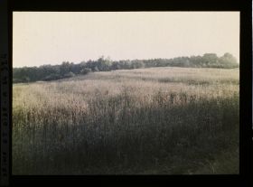 Image représentant Ile de France, Vallangoujard, Le même par temps Clair
