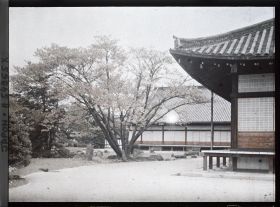 Image représentant Palais Nijô-jô : jardin du Ni-no-Maru