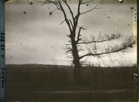 Image représentant France, La Pompelle, Fort de la Pompelle vu de l'Allée noire