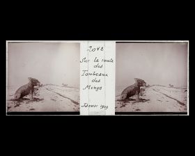 Image représentant Ming Shisanling ("Treize Tombeaux des Ming"). l'une des deux chimères (qilin) assises de l'allée des statues