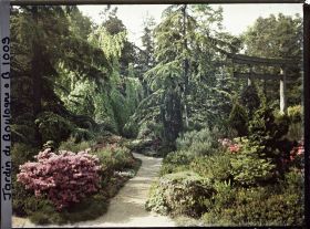 Image représentant Chemin fleuri bordé de grands arbres, situé près du torii et des ponts du " sanctuaire japonais "