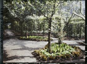 Image représentant Rond-point à l'est du verger-roseraie, planté de légumes et vu en direction de la forêt bleue