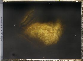 Image représentant La grotte des Trois-Frères : le cheval