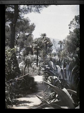 Image représentant Allée bordée d'agaves, aloès et autres plantes exotiques, vue en direction de Monaco, vue prise à 12 h