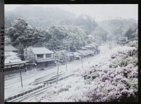 Image représentant Azalées en fleurs le long d'une voie ferrée dans un village