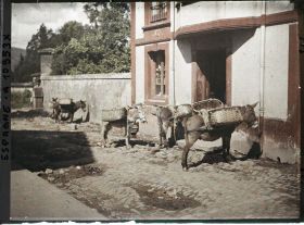 Image représentant Espagne, Bilbao, Les Cinq burros