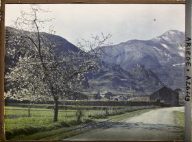 Image représentant Le vieux château de Miglos vu de la route en venant de Tarascon