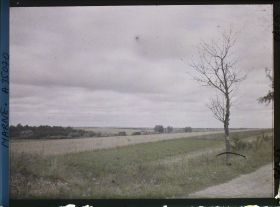 Image représentant France, St Thomas (Marne), Route de Servon à St Thomas