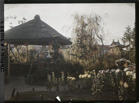 Image représentant Chrysanthèmes et kiosque dans un parc