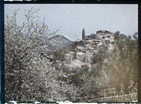 Image représentant Verger en fleurs encadrant le village vu en direction de la mer