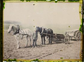Image représentant Ile de France, Vallangoujard, Cultivateur recouvrant d'engrais un champ ensemencé de betteraves