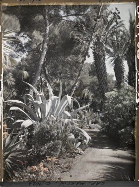 Image représentant Le Jardin