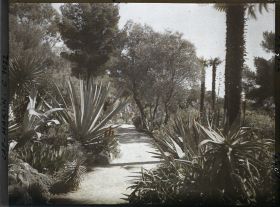 Image représentant Le Jardin