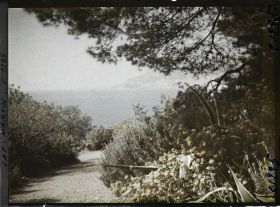 Image représentant le Jardin