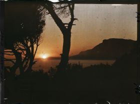 Image représentant soleil couchant sur la tête de chien