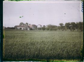 Image représentant Ile de France, Frepillon, Champ de blé