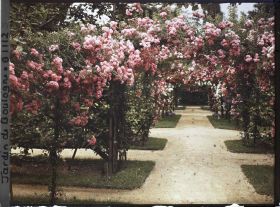 Image représentant Axe central du verger-roseraie vu à mi-parcours, en direction de la dépendance