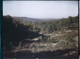 Image représentant Forêt