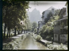 Image représentant Bords du Rhin, Badmünster, Paysages divers