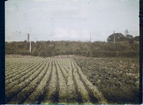 Image représentant Ile de France, Sarcelles St Brieuc, Cultures Diverses