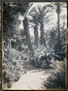 Image représentant le jardin