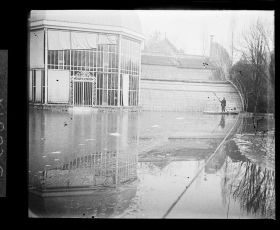 Image représentant La serre et le jardin français lors de la crue