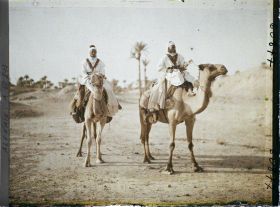 Image représentant Méharistes sahariens