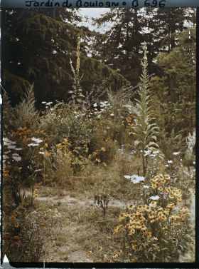 Image représentant La prairie