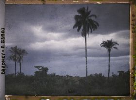 Image représentant Tornade en préparation