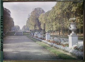 Image représentant La terrasse des Orangers et l'allée des Statues dans le petit parc