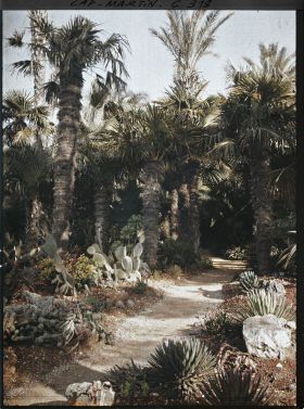 Image représentant Cap-Martin - Le Jardin