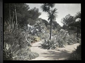 Image représentant le Jardin