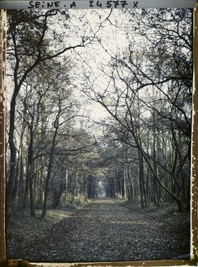 Image représentant Le bois de Vincennes, allée cavalière