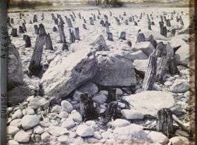 Image représentant Site palafittique préhistorique des Alpes, pieux en bois visibles lors de la baisse des eaux après la grande sécheresse de 1921