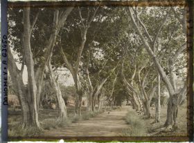 Image représentant Une allée près du mur d'enceinte du palais de  null Guézo