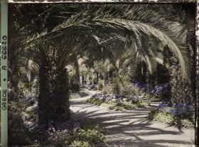 Image représentant L'Achilleion - Les Jardins