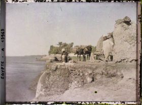 Image représentant Sakiéh à bœuf au bord du Nil