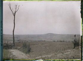 Image représentant Belgique, Kemmel, Le Scherpenberg vu du Kemmel