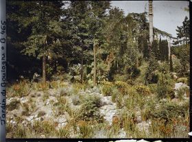 Image représentant Sôrintô s'élevant au-delà d'une partie rocailleuse du " sanctuaire japonais "